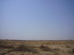 desert4