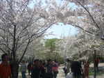 yuyuantan_08.JPG